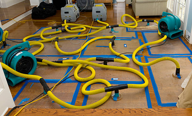 Professional Crawl Space Water Removal technician working in Marine, IL